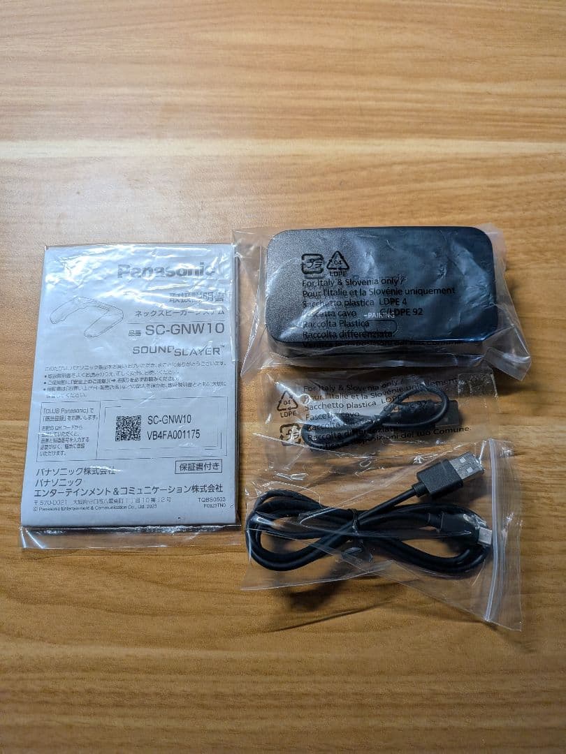 Panasonic SC-GNW10 ネックスピーカー【メーカー基板交換済】