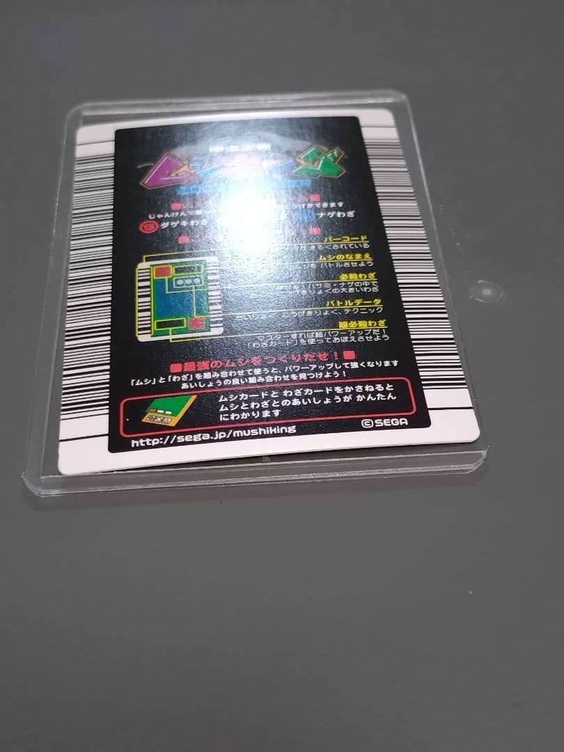 020Nパラワンオオヒラタクワガタ 2003 SUMMER 美品