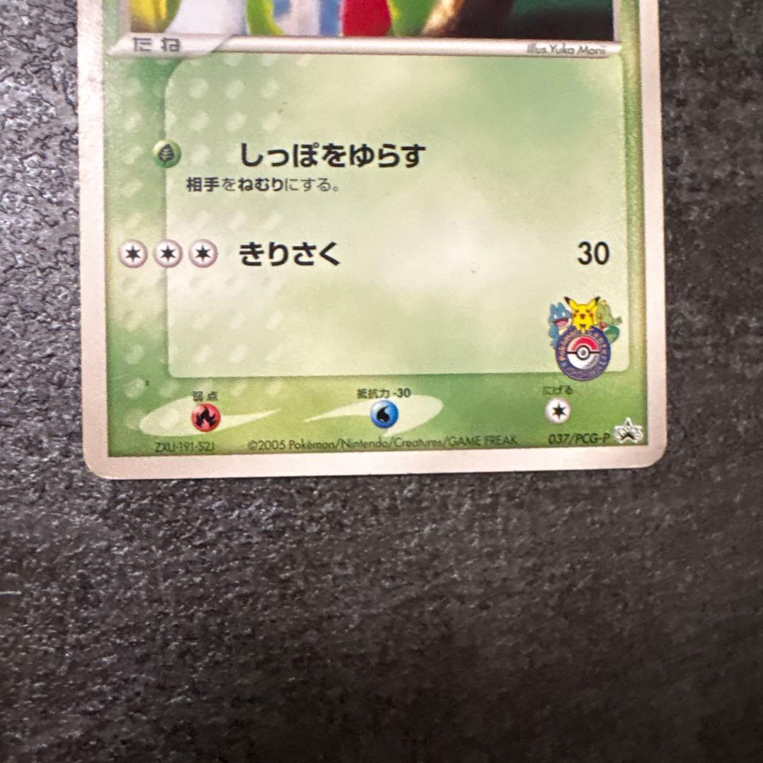 ポケモンカード キモリ 037/PCG-P プロモ PROMO
