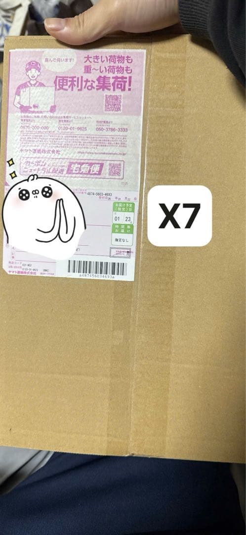 ポケモンカードゲーム ファイルセット ex 7箱　24以内発送可能！