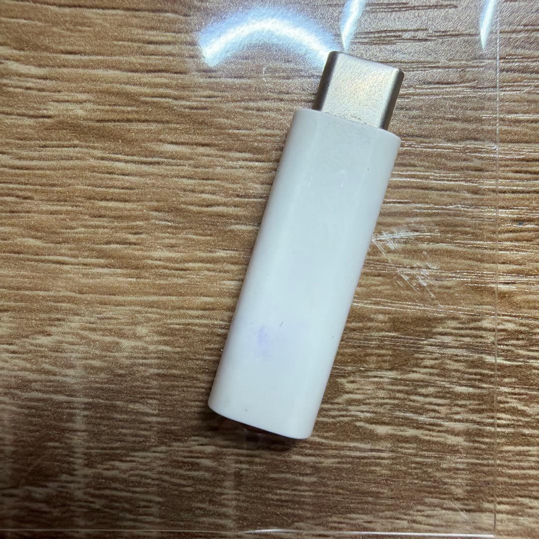 Apple Pencil ホワイト USB-Cアダプタ付き