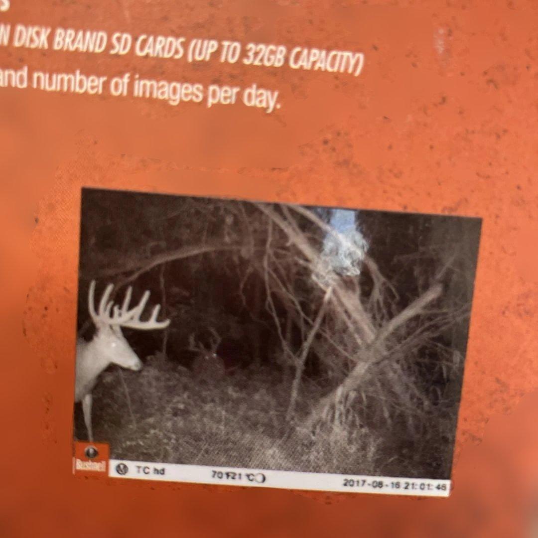 Bushnell Trophy Cam 20MP トレイルカメラ