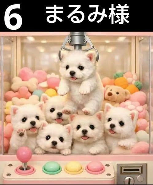 オーダーページ　ハンカチ5064 クレーンゲームわんこ柄　ハンドメイド3/11