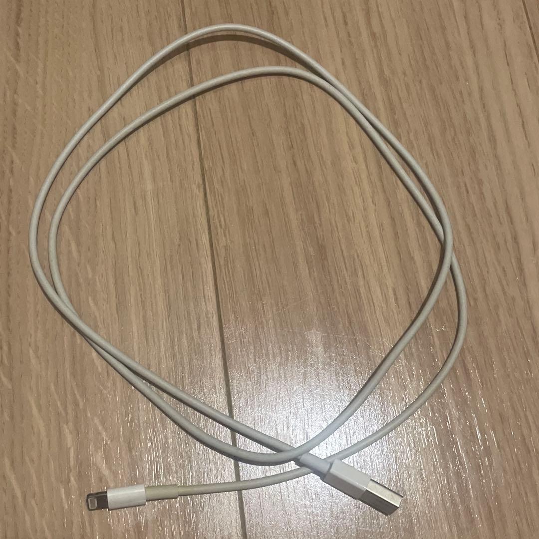 Apple AirPods Pro 第1世代