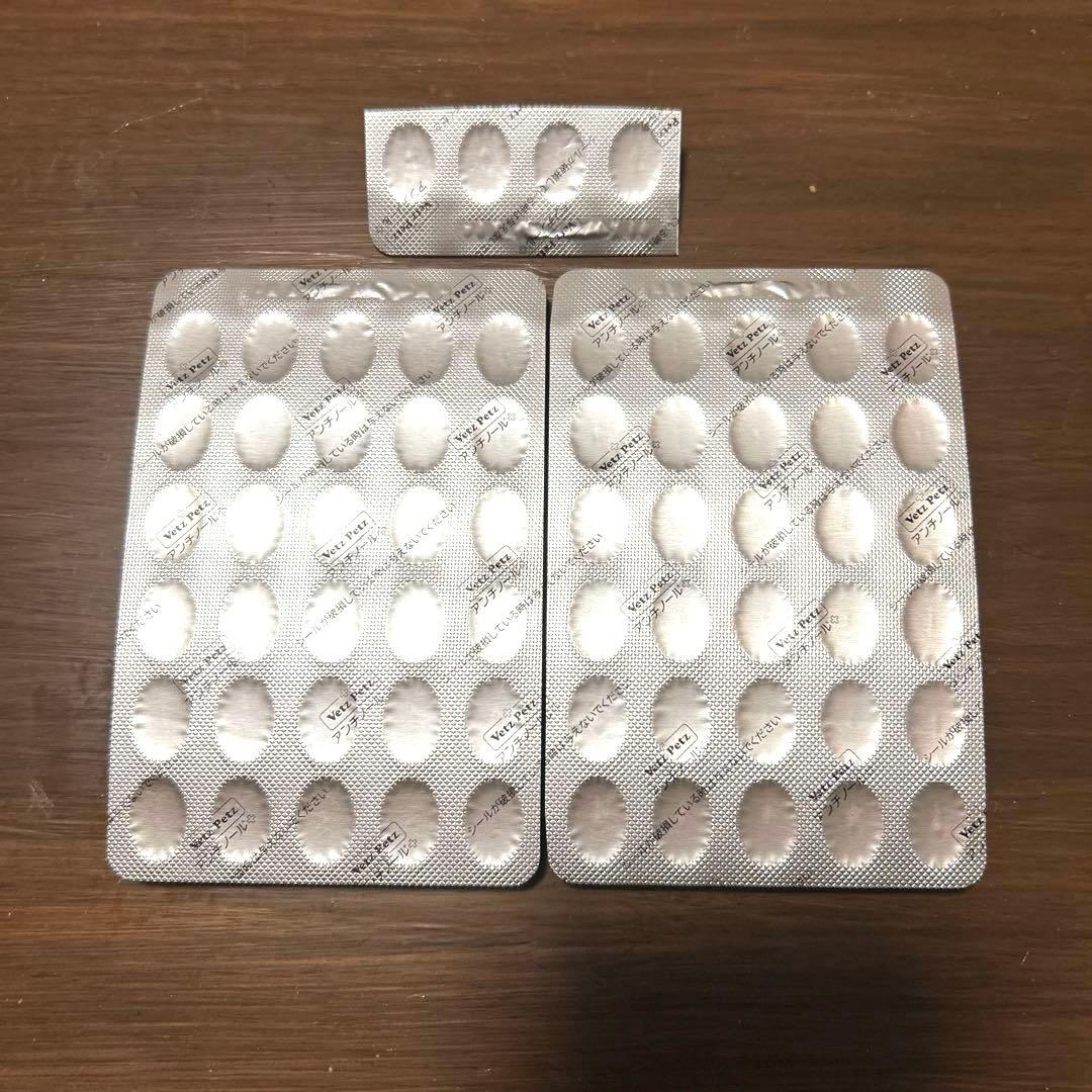 Vetz Petz　犬用 アンチノール 64粒