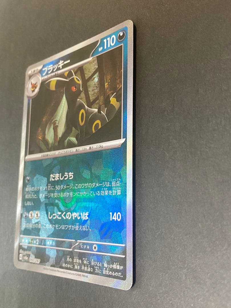 ブラッキー　マスターボールミラー　テラスタルフェス
