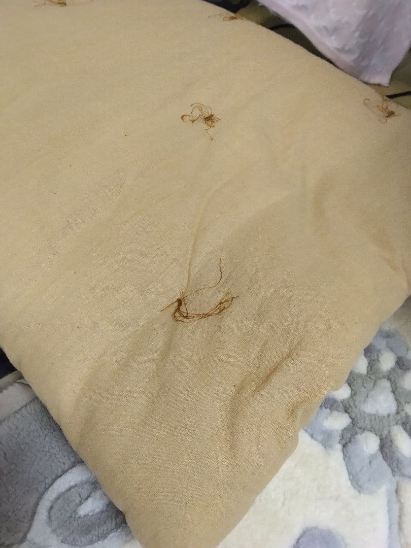 布　茶綿布団セット