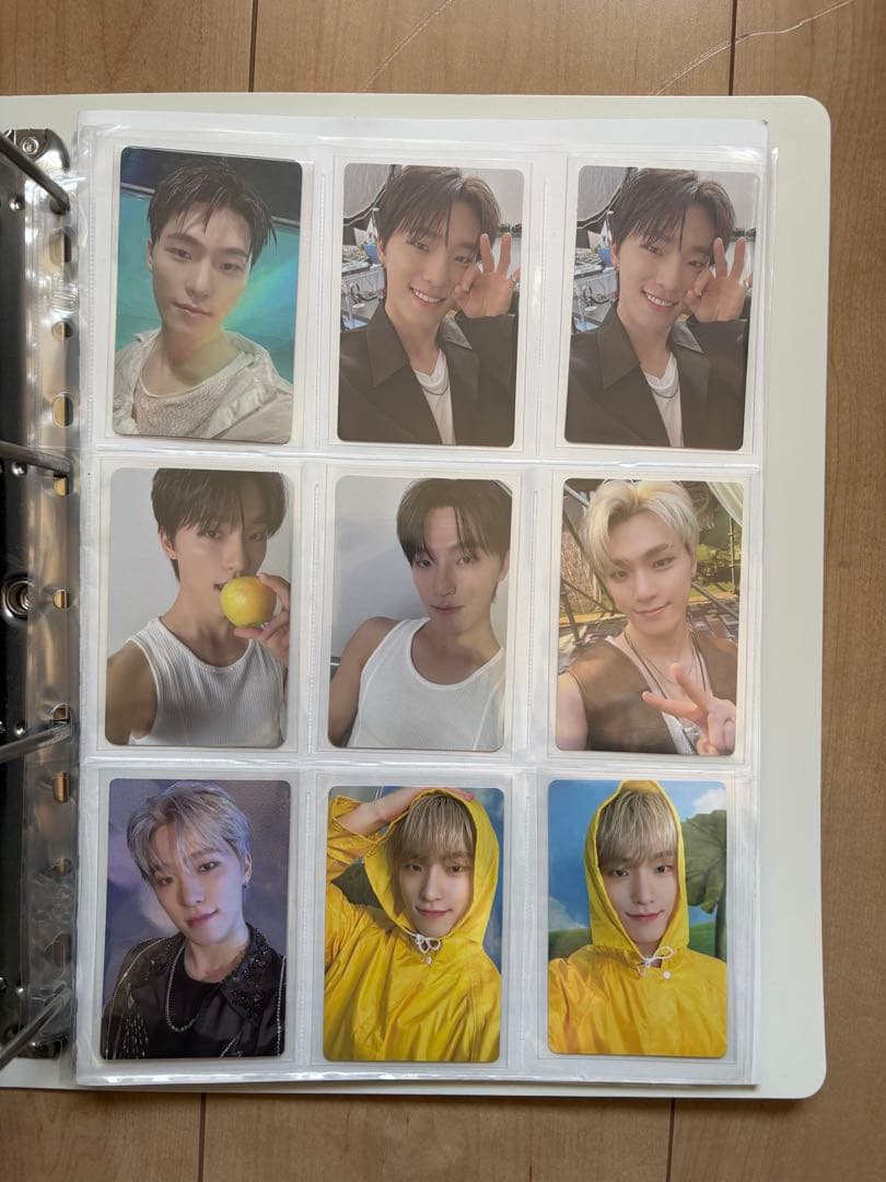 seventeen セブチ ディノ DINO まとめ売り
