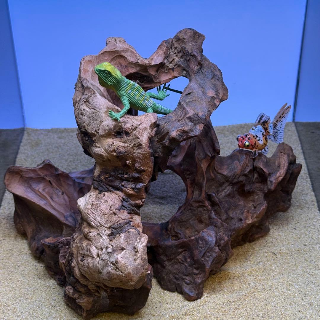 MRW-7335 赤系天然流木　樹洞　隠れ家　流木　アクアリウム　爬虫類