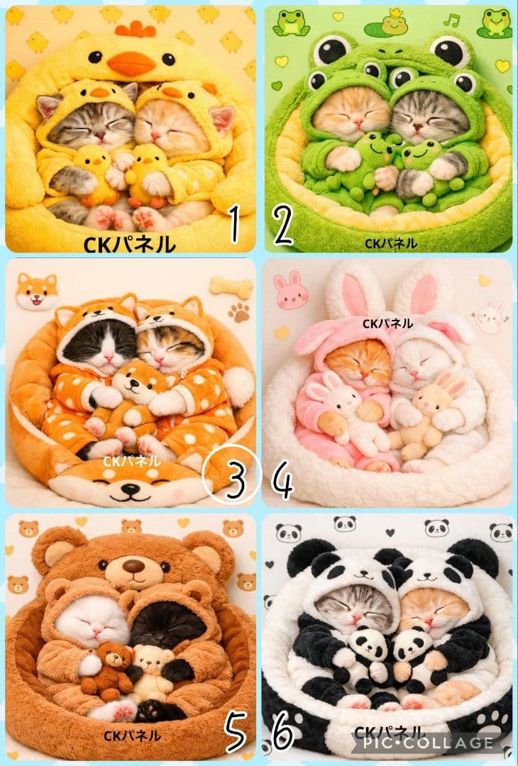 【1月】クロム