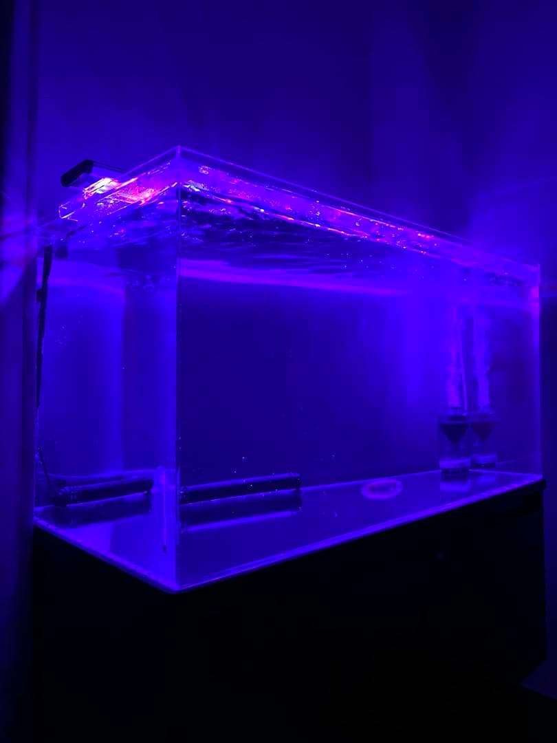 【最終値下げ】90cm アクリル水槽 外部フィルター フルセット 大型水槽