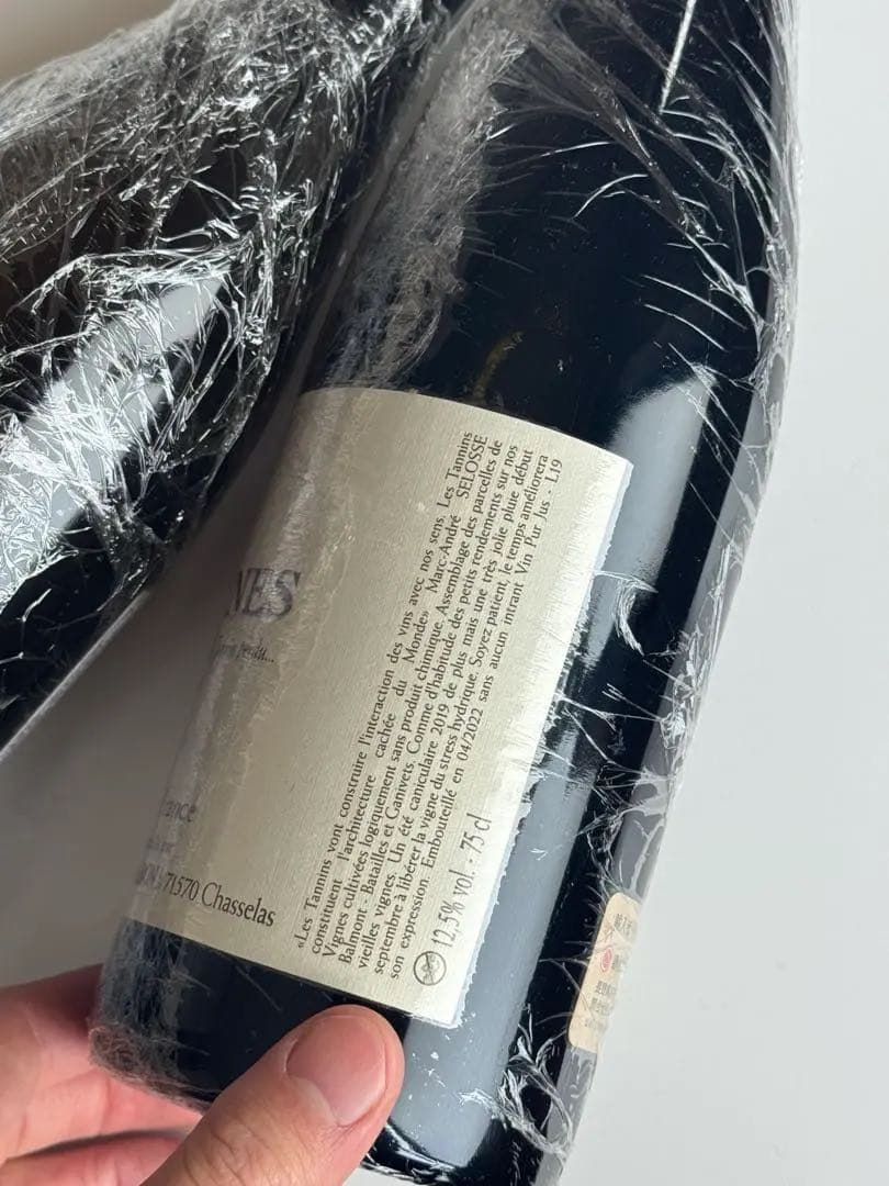 ㊙️ヴィンテージ　Philippe Jambon 2本セット