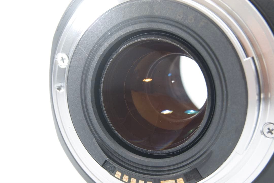 Canon EF 75-300mm IS USM 超望遠　デジタル一眼レフカメラ