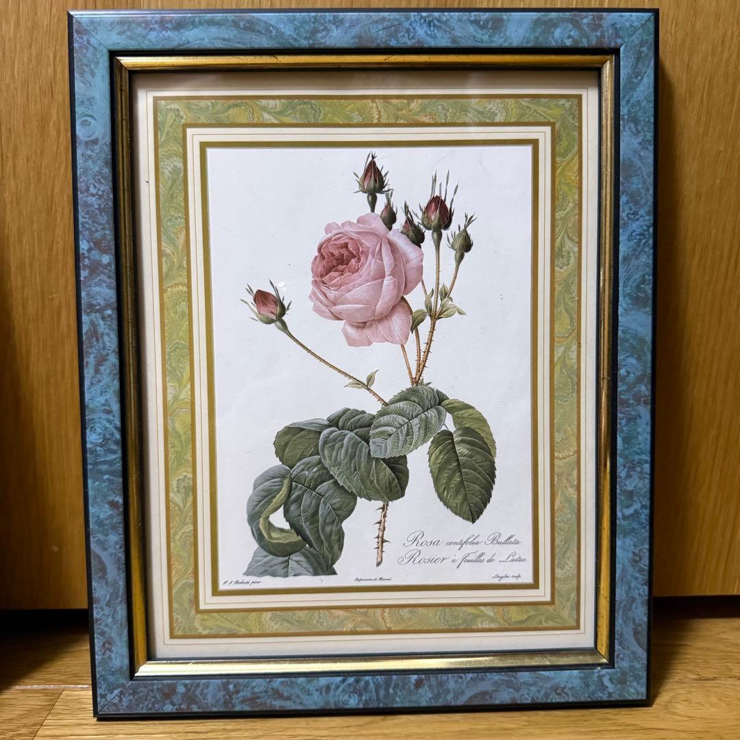 ピエール・ジョセフ ・ルドゥーテ 花柄 版画 絵画 2セット