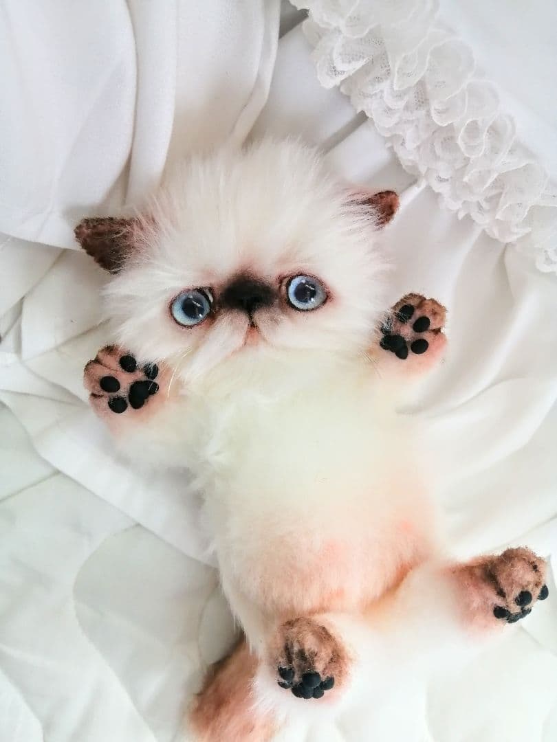 Milky様御予約❤️子猫ちゃん♡ベビー♡アートドール♡ぬいぐるみ♡