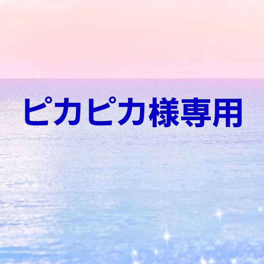 ピカピカ◎Handmade L字型ファスナーポーチ❣️◎４点セット