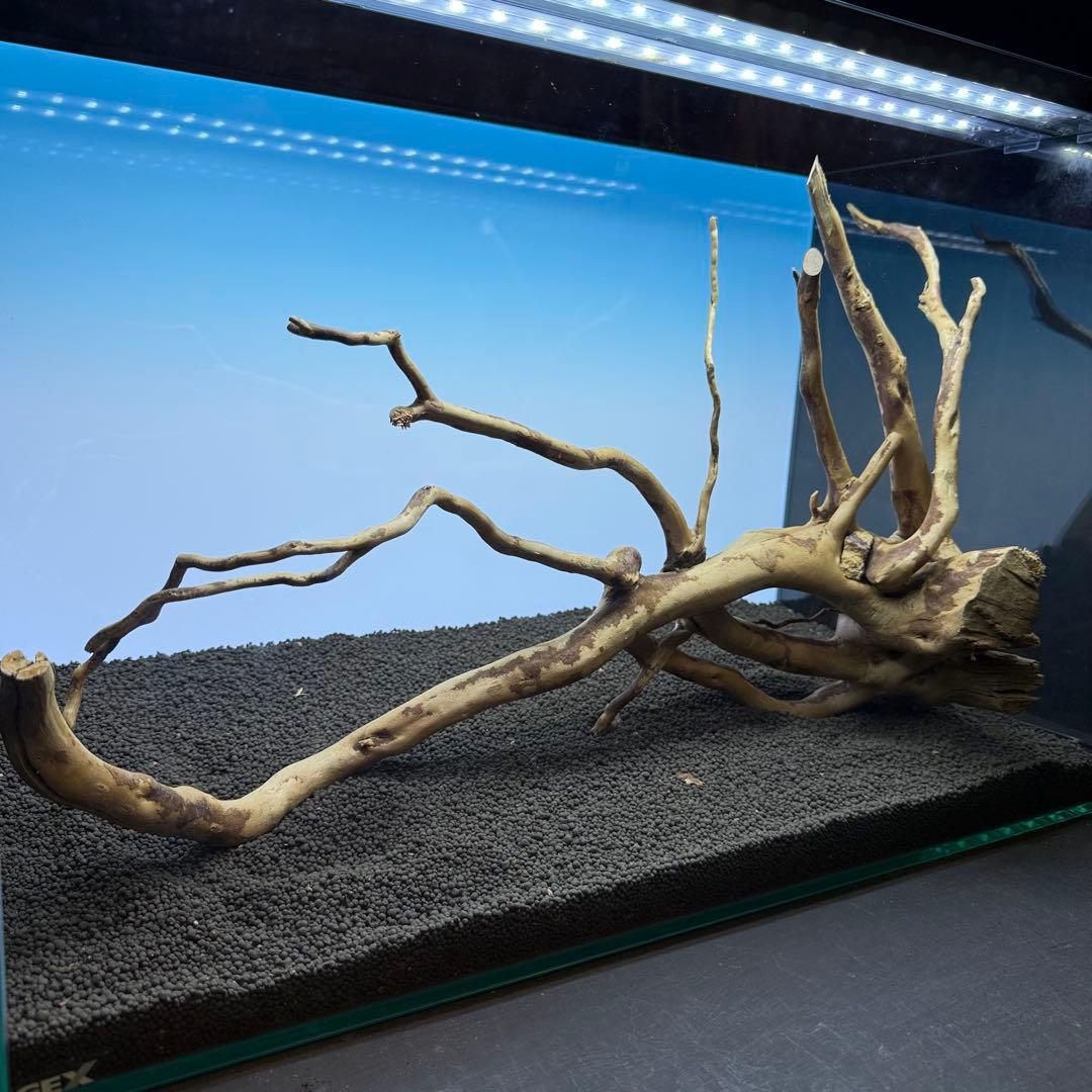 MDW-6956 特大ブランチウッド　流木　枝流木　アクアリウム