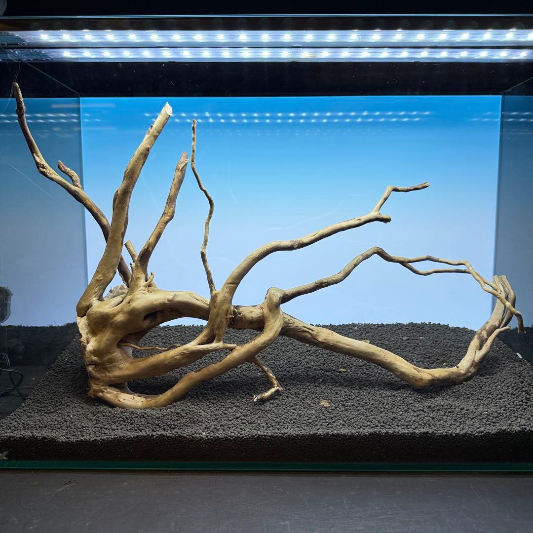 MDW-6956 特大ブランチウッド　流木　枝流木　アクアリウム