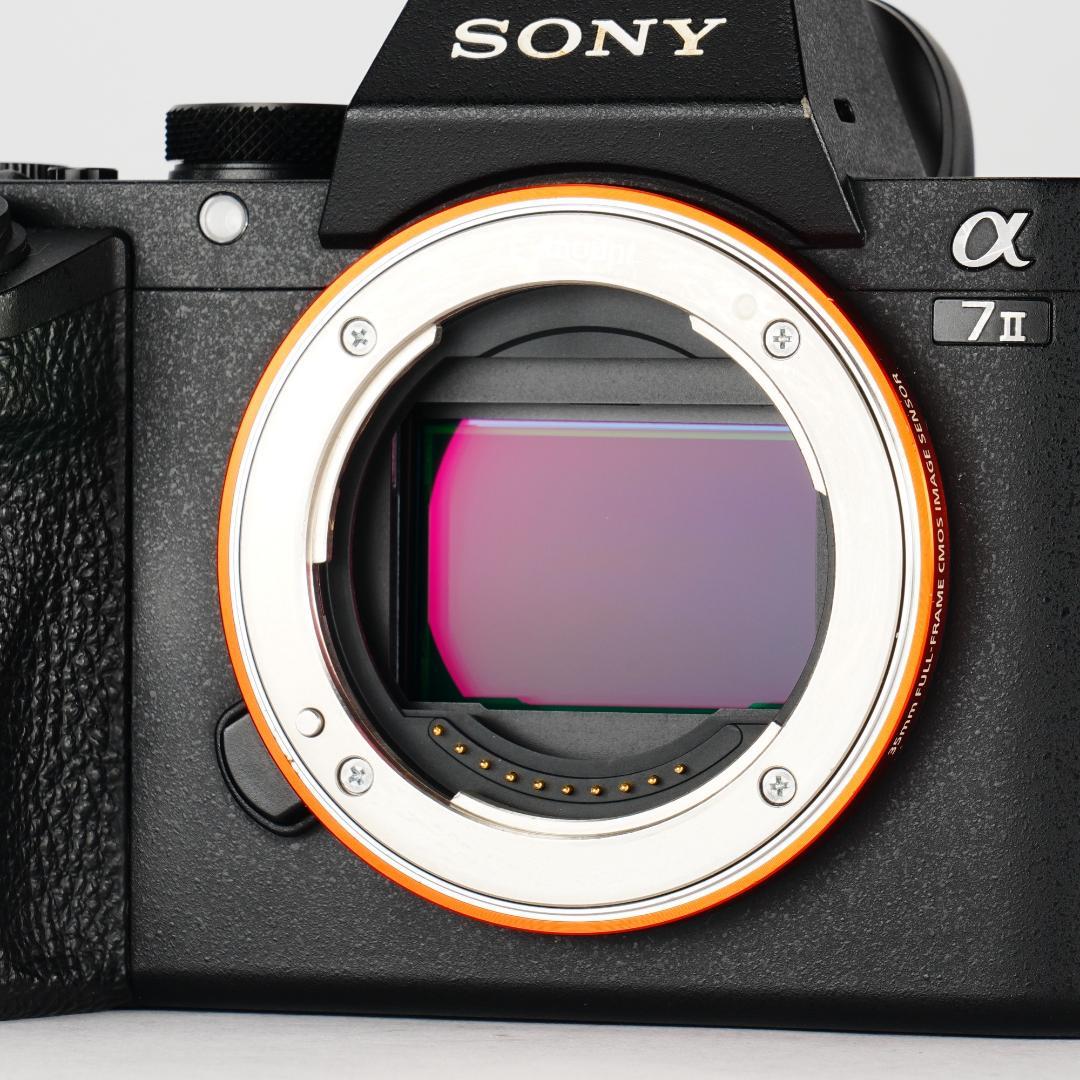 美品！SONY α7II完全セット6683回 フルサイズデビューに最適 310
