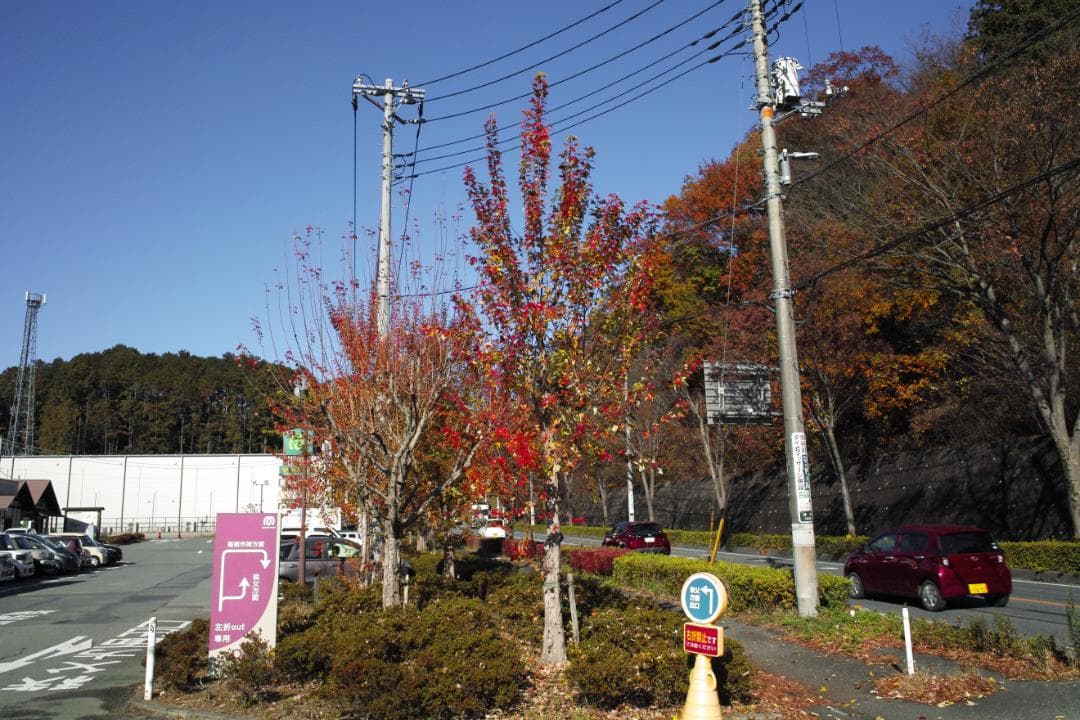 美品　SIGMA DP1x コンパクトデジタルカメラ