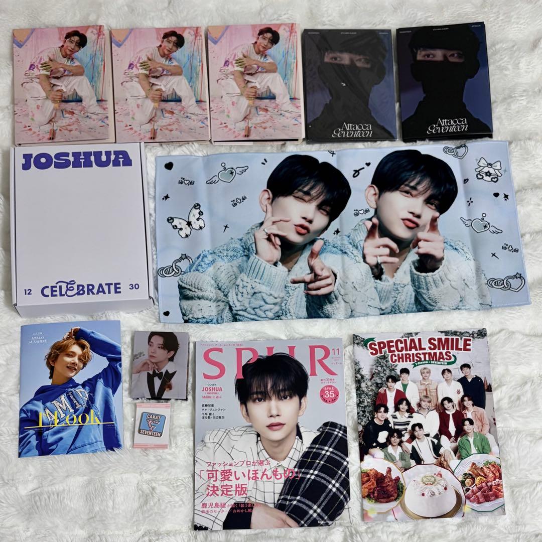 ジョシュア SEVENTEEN まとめ売り 561枚