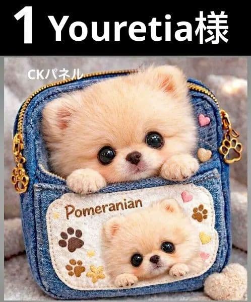 オーダーページ　ハンカチ5　わんこbag柄ハンドメイド3/17