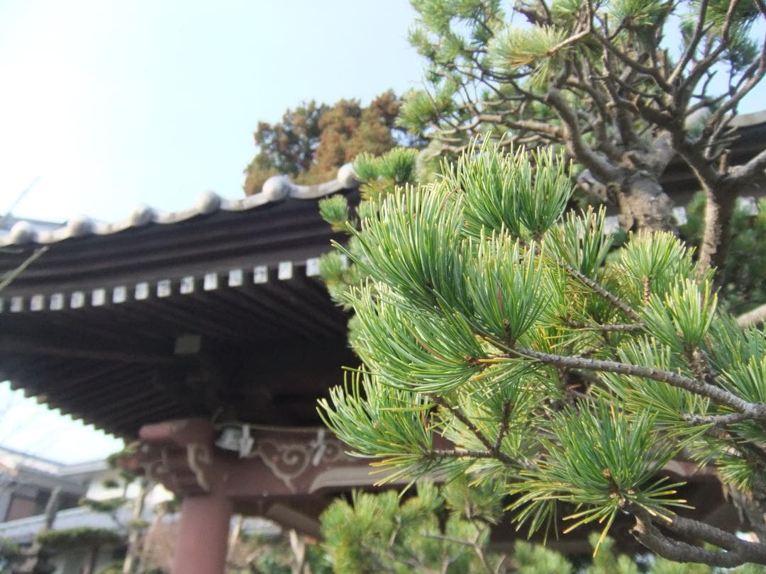 実写美⭕️【動作確認済】FUJIFILM FINEPIX F70EXR　デジカメ