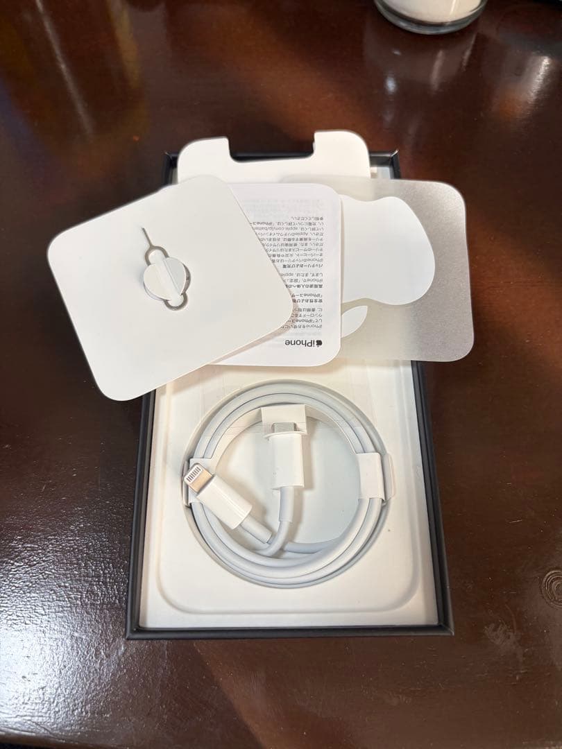 Apple iPhone13Pro 256GB シエラブルー　本体
