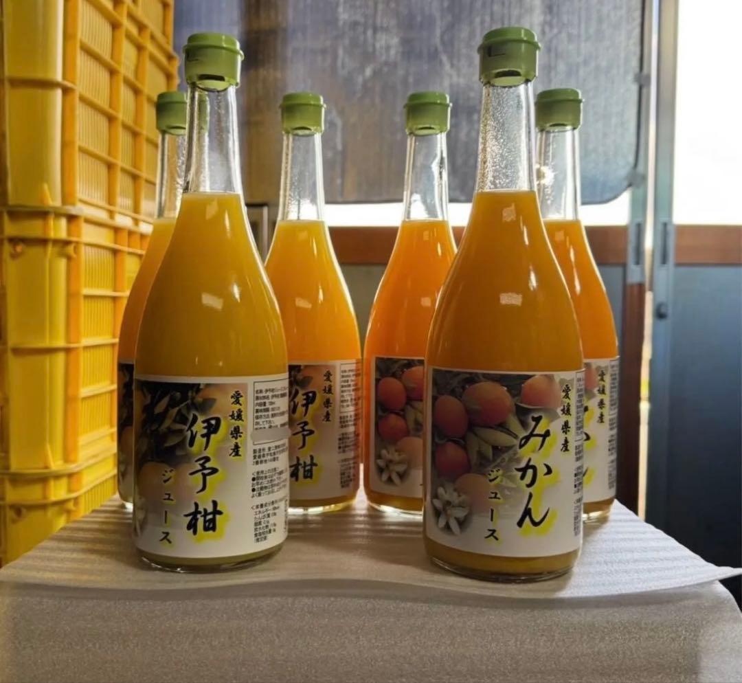柑橘ストレートジュース伊予柑 愛媛県産 みかん
