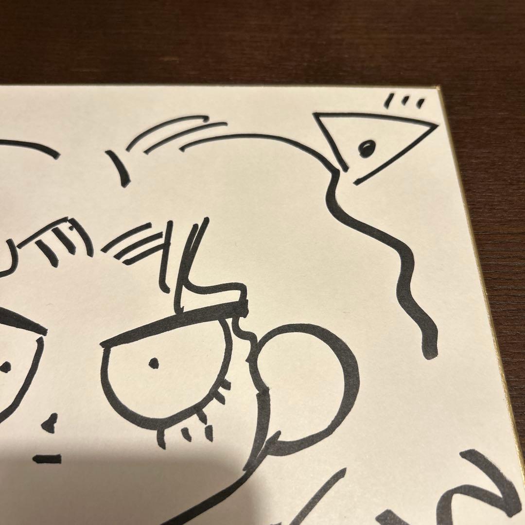 柴田亜美　直筆イラスト入りサイン色紙