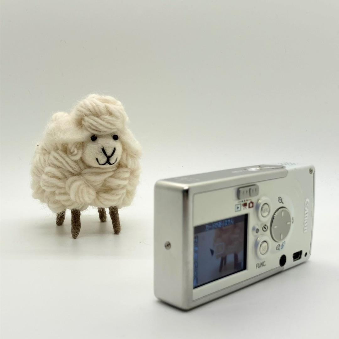 【動作品】美品✨箱付き✨CANON　IXY　DIGITAL L PC1060