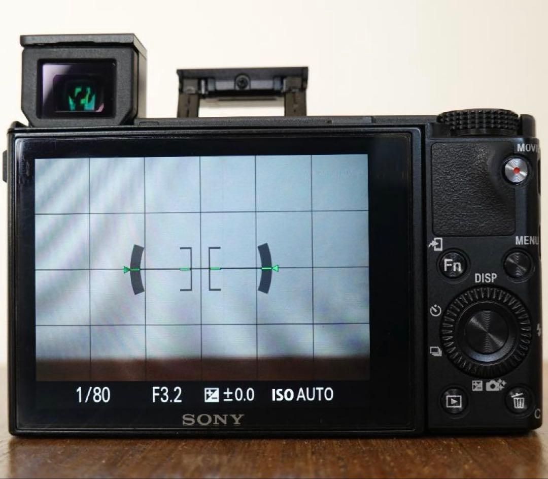 Sony Cyber-Shot DSC-RX100M5 元箱 付属品ソニー