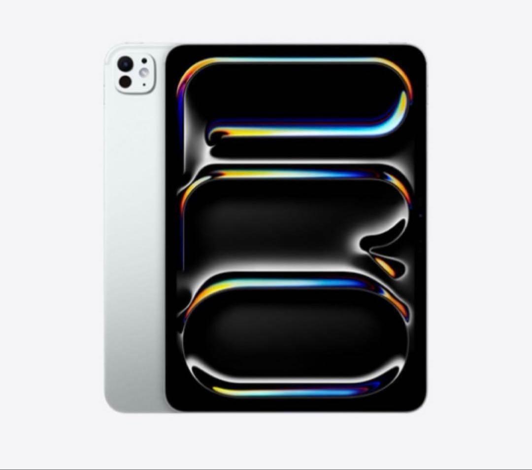 た*し様 iPad pro 11インチ M4 【2024】 256GB Wi-F