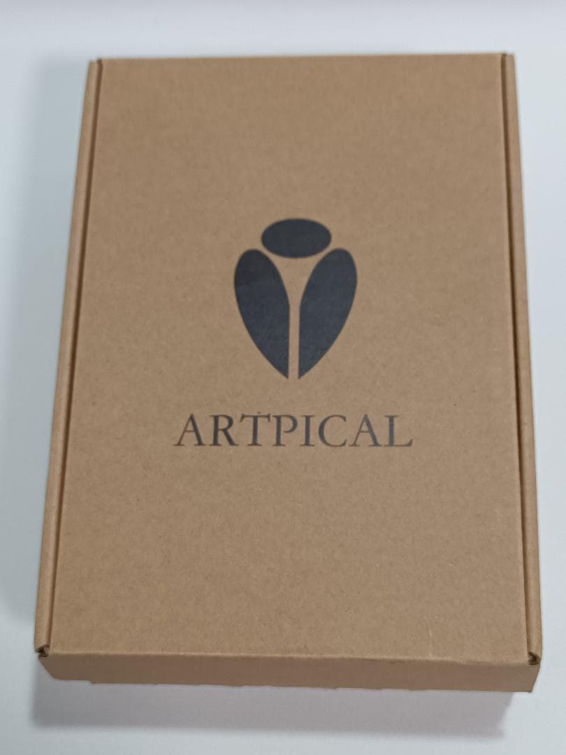 ARTPICAL Lucifer イヤホン 美品