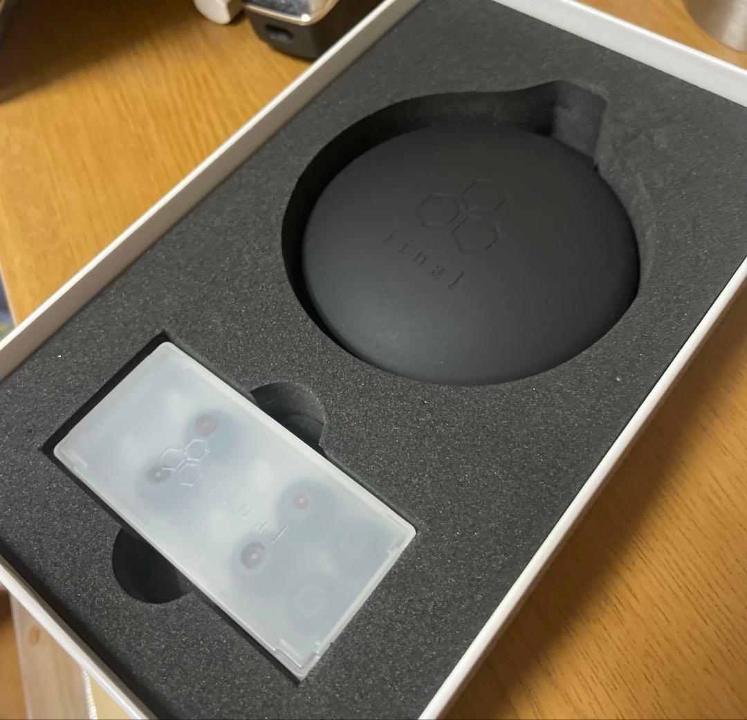 Final A4000 イヤホン 美品