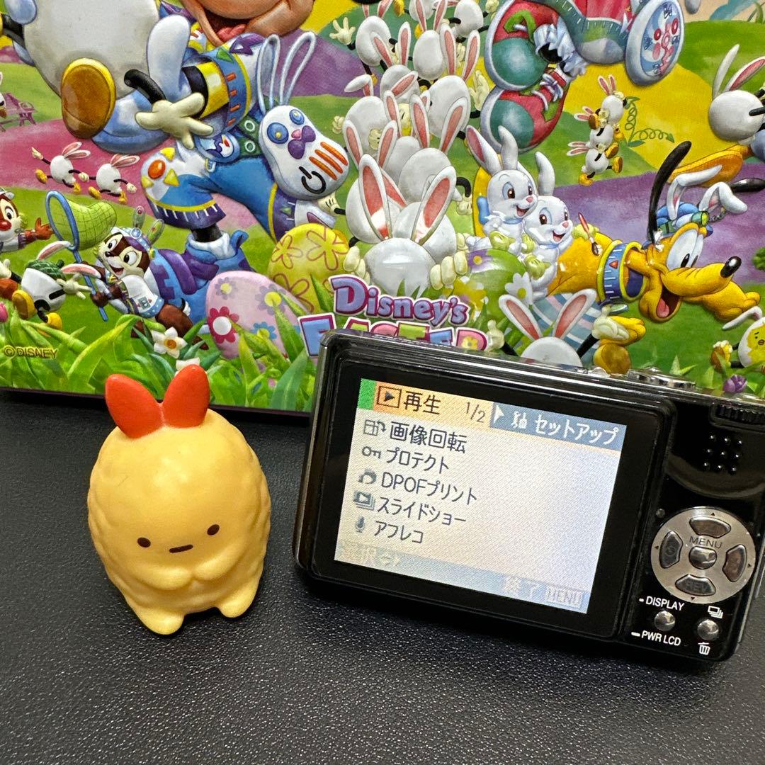 Panasonic LUMIX DMC-FX07 動作確認済　中古良品