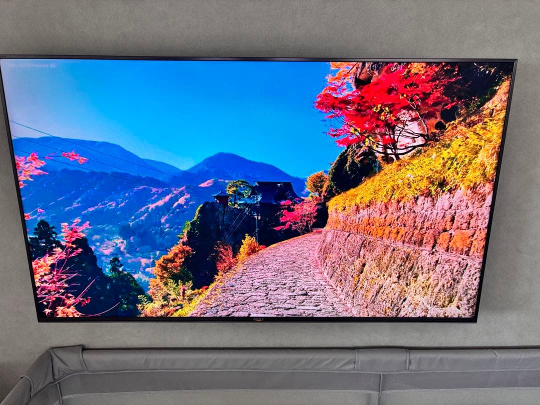 テレビ SONY BRAVIA KJ-55X9500G