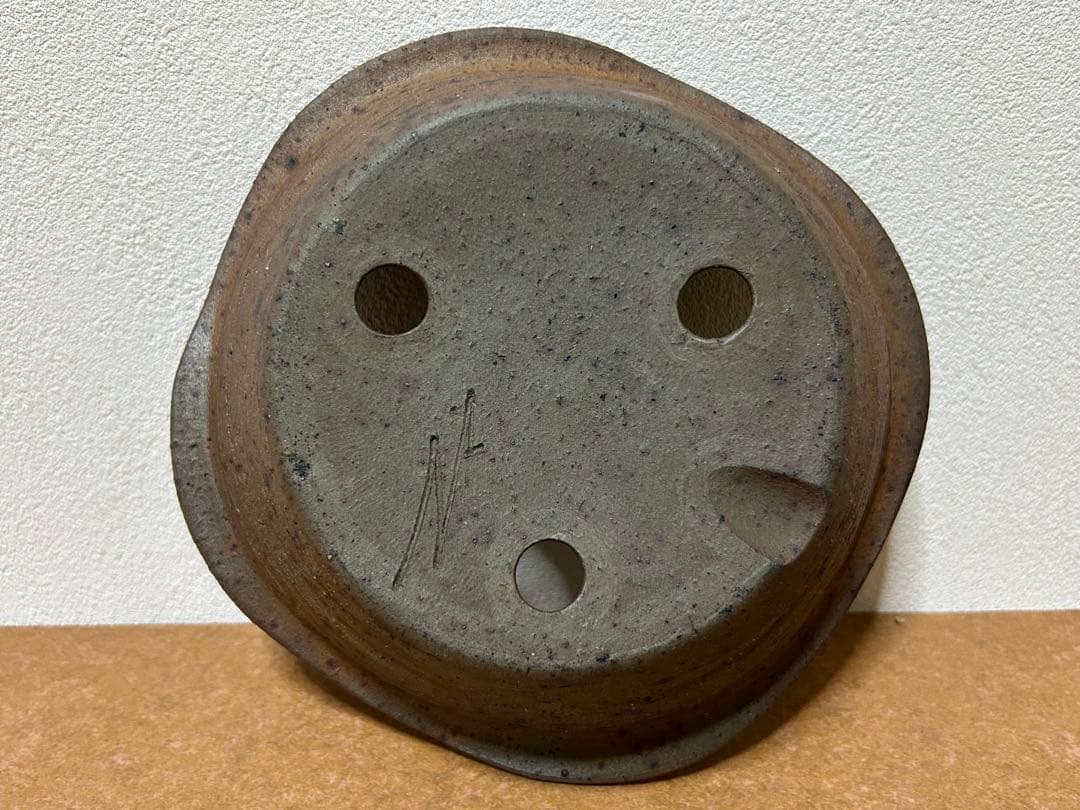 凡才　盆栽鉢　小品盆栽　山野草