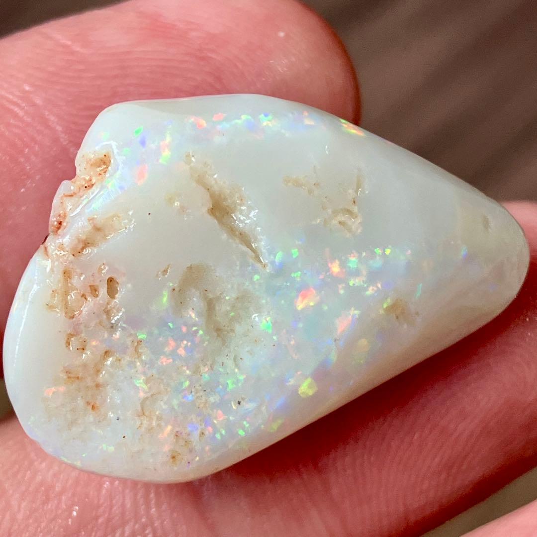 34.1ct 鮮色！ オパール 化石 アサリ 原石