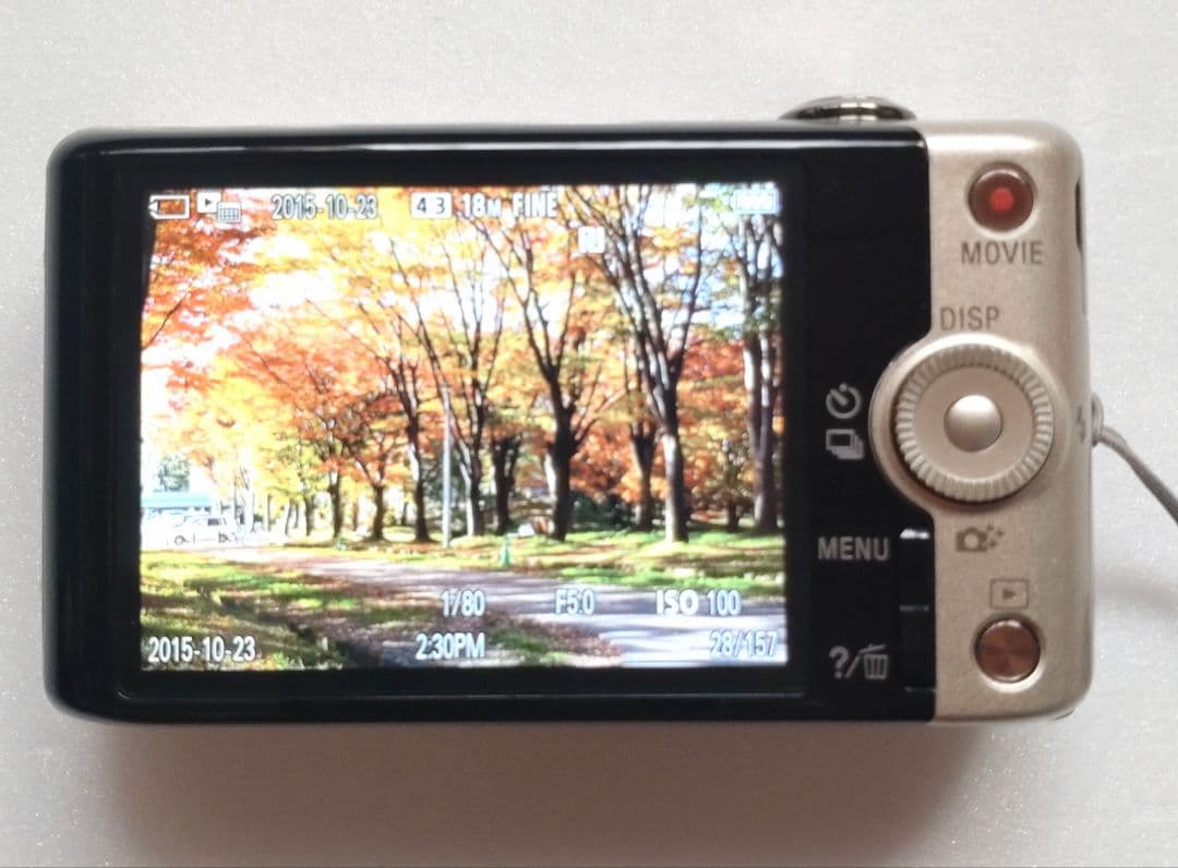 SONY Cyber-shot DSC-WX220 ソニー デジカメ