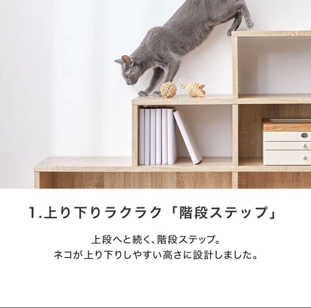 ◎めー◎