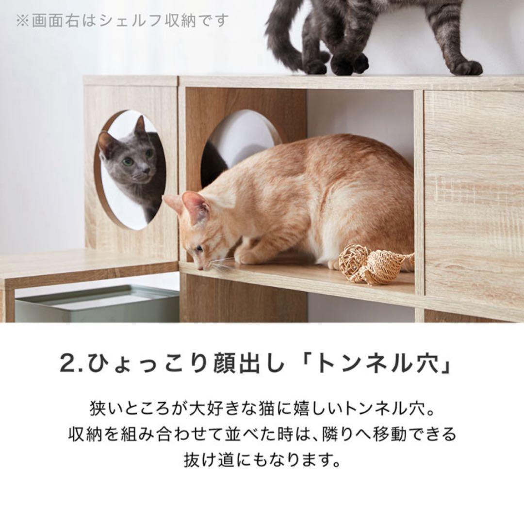 ◎めー◎