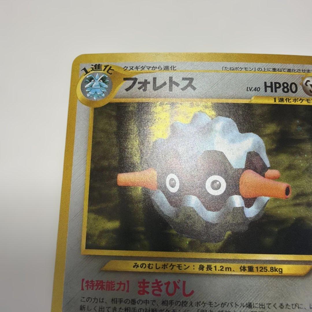 フォレトス③