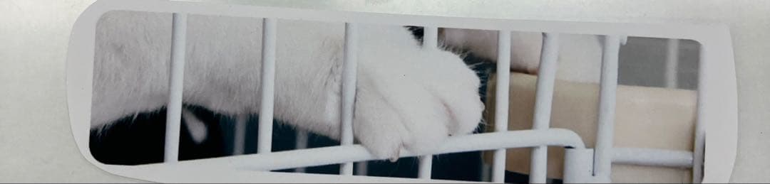 3段キャットケージ ミントグリーン