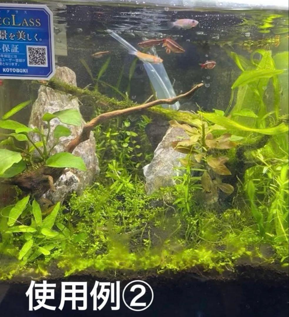 流木＋石(おまけ)