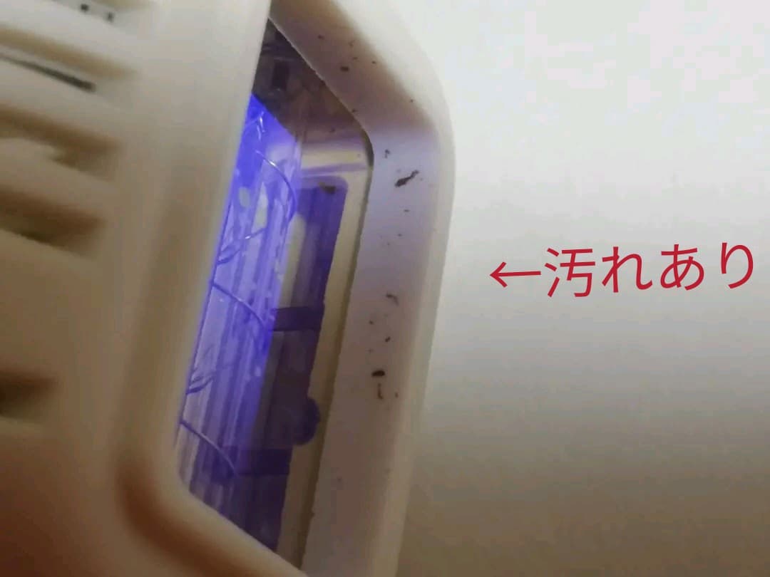 裸美 LAVIE ラヴィ IPL　光脱毛器 美顔カートリッジ おまけ付き