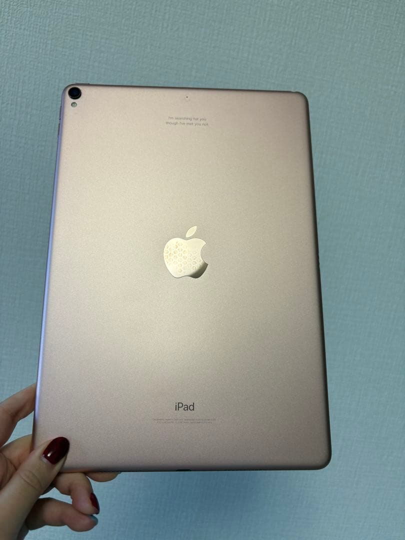 iPad Pro 10.5インチ 第1世代 256GB