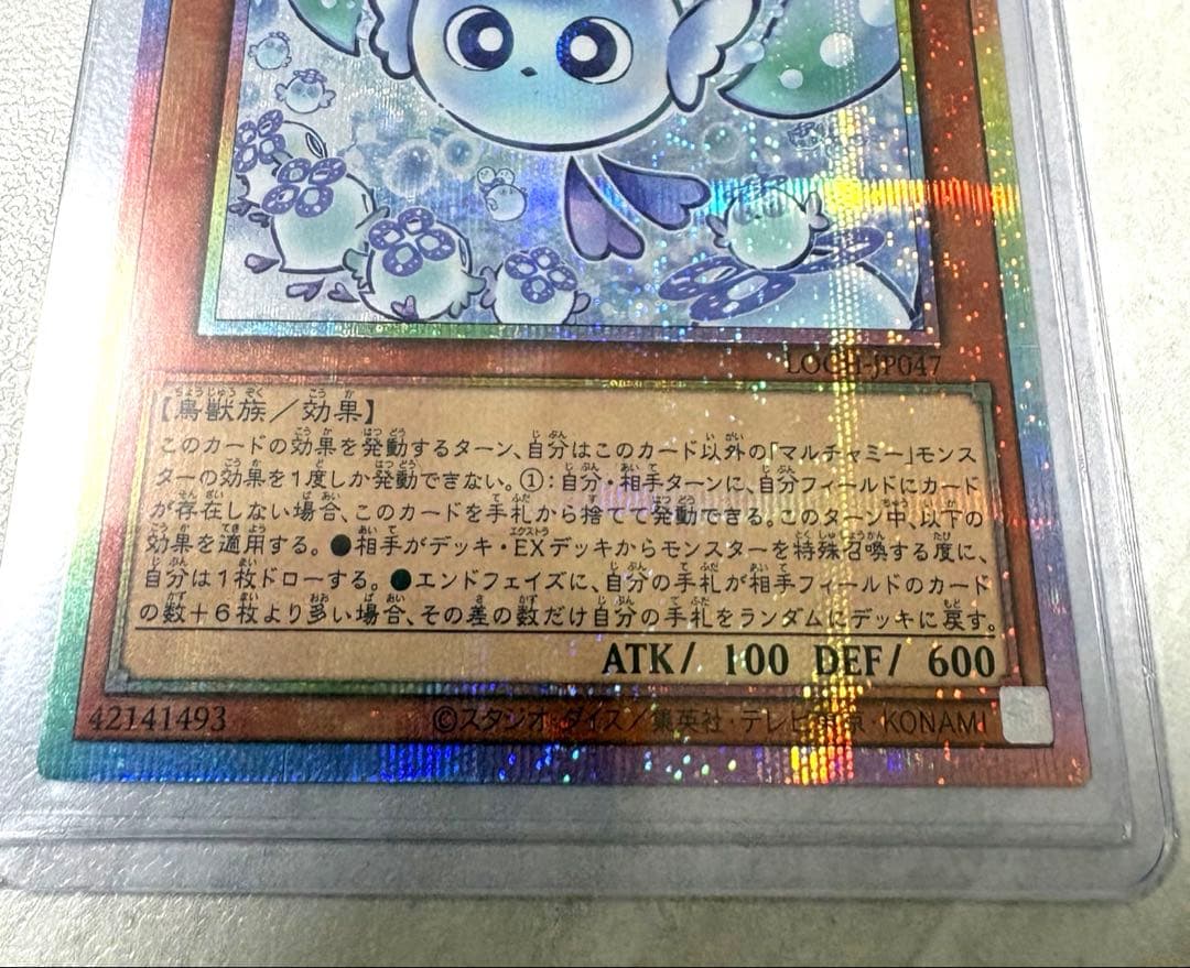 マルチャミー・フワロス　プリシク　リミットオーバーコレクション