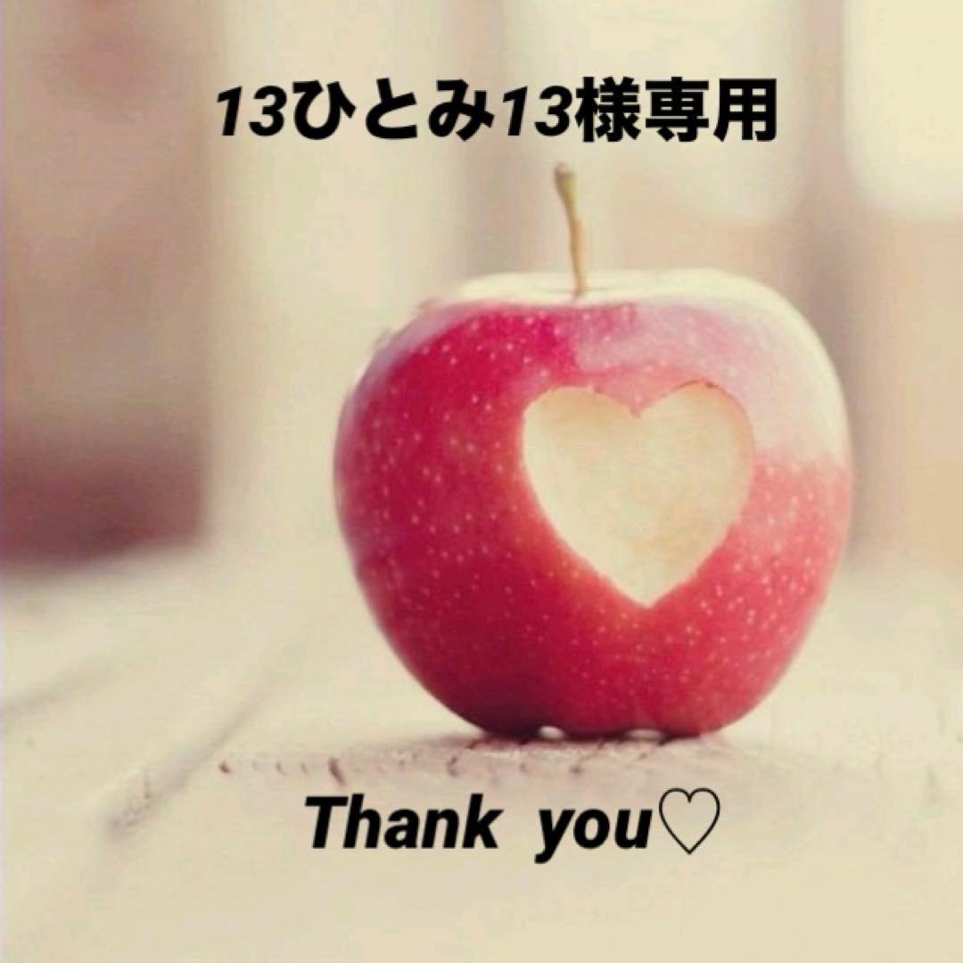 13ひとみ13【HM】入園入学セット☆手提げ袋☆上履き袋☆着替え袋☆文具柄