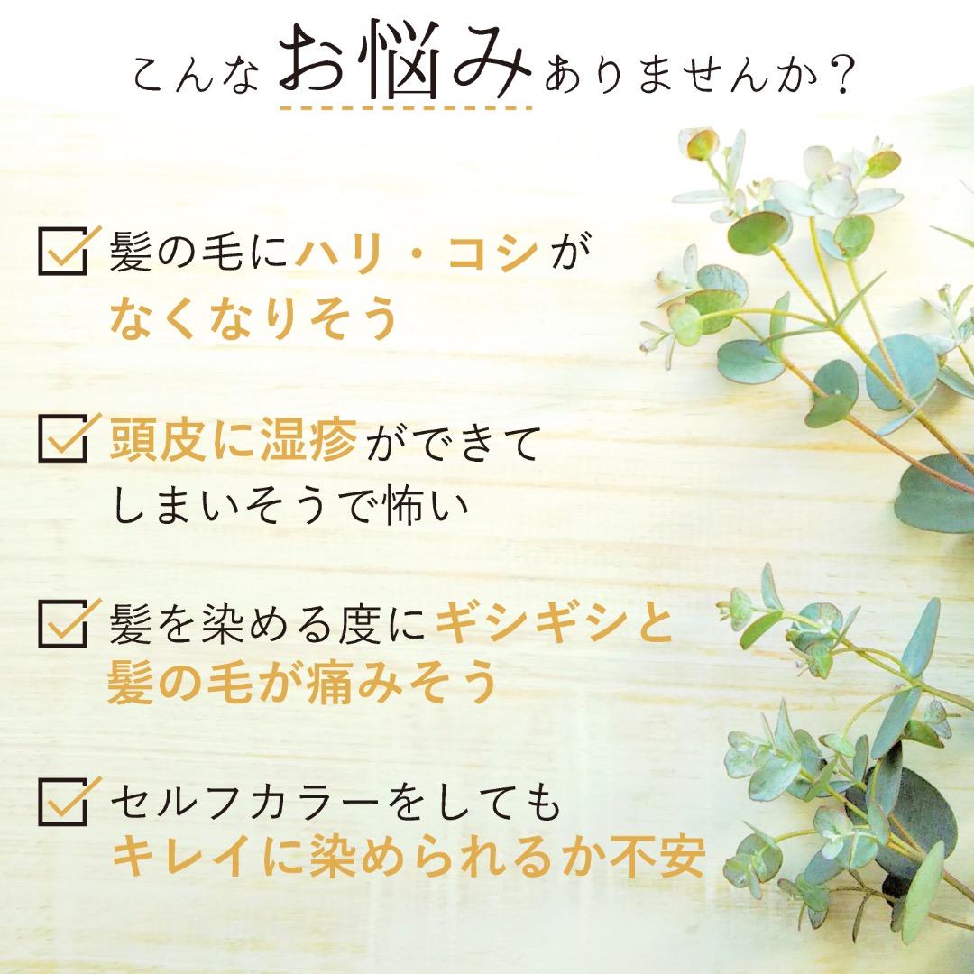 Y品【最高AAAランク高品質ヘナ】ヘナ白髪染め　オレンジ300g